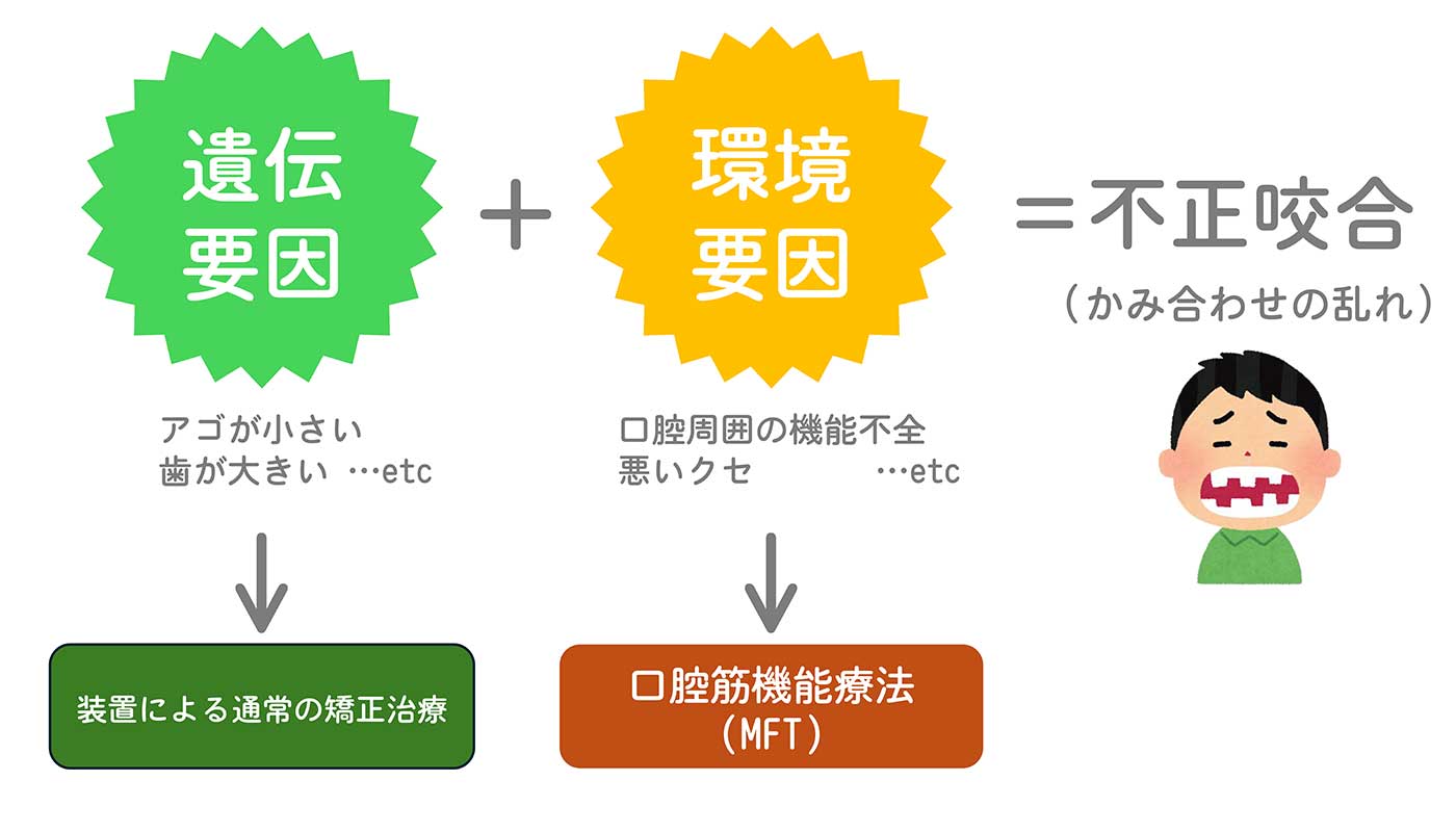 成田市公津の杜の歯医者。はばたき矯正・こども歯科で小児矯正