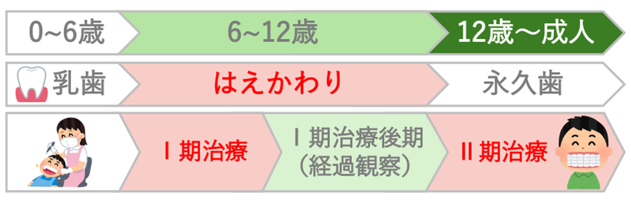 成田市公津の杜の歯医者、はばたき矯正・こども歯科で矯正治療のタイミング