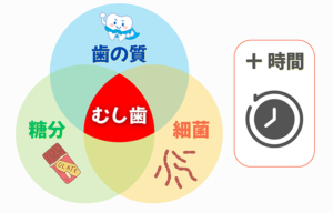 成田市公津の杜の歯医者、はばたき矯正・こども歯科のむし歯の成り立ちについての解説